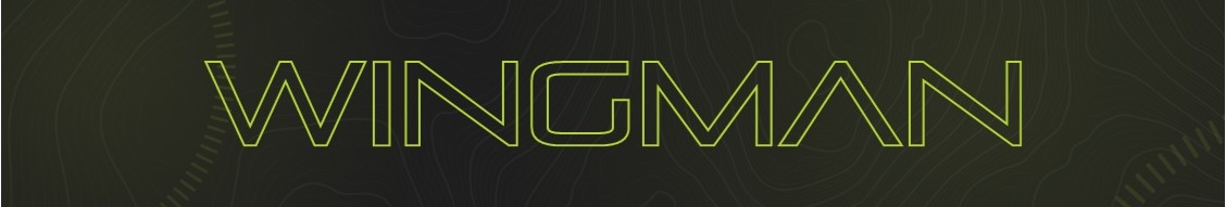 Wingman MSP Logo