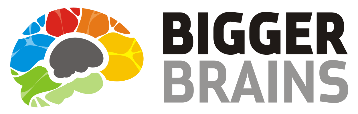 bigger-brains-logo